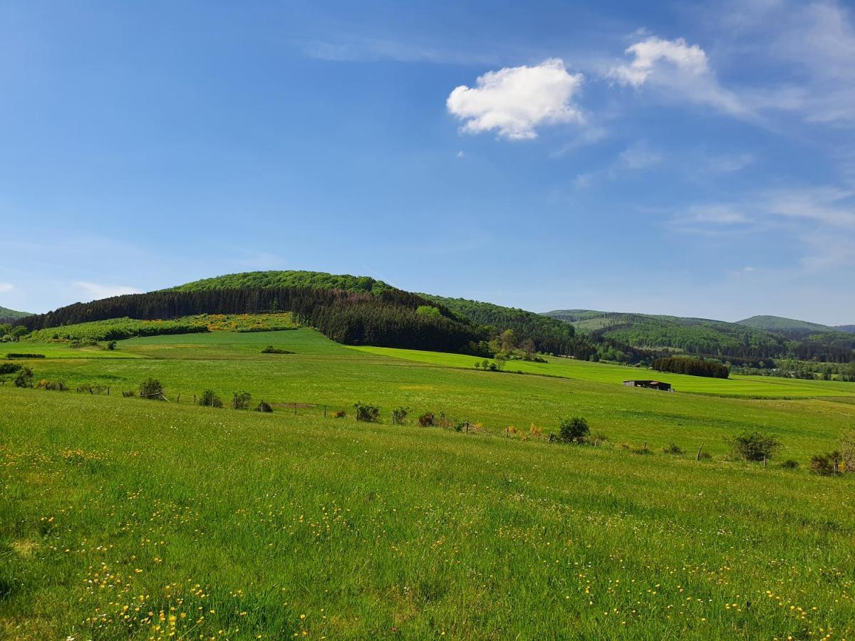Fewo Talula - Sauerland Mit Hund Медебах Екстериор снимка