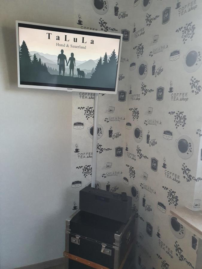 Fewo Talula - Sauerland Mit Hund Медебах Екстериор снимка